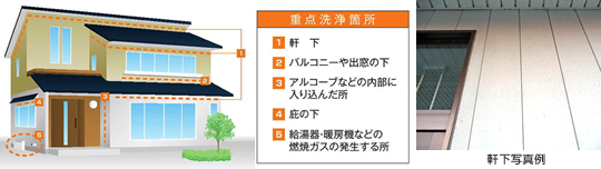 重点洗浄箇所